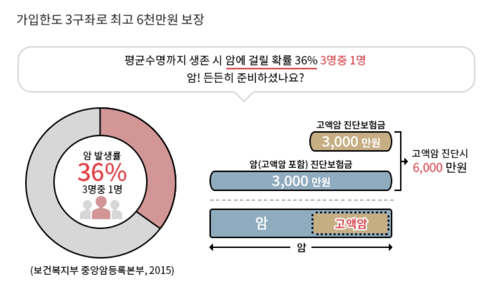 우체국 보험